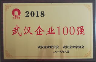 新七集团再度荣膺武汉企业百强 实力彰显武汉企业坚实力量