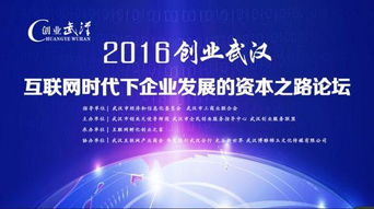 创业武汉 互联网创业企业发展的资本之路论坛在汉举行