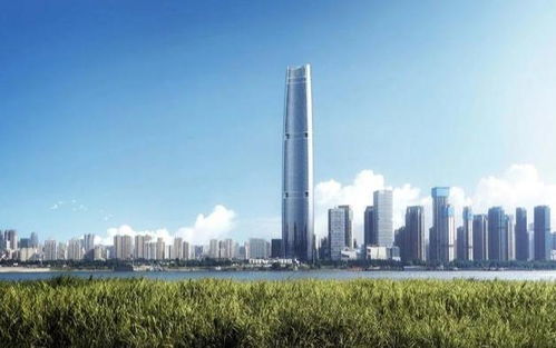 携多个“第一”的武汉绿地中心商业华丽启幕 重塑城市商业新标杆