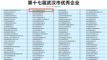 许鹏董事长荣获第十七届武汉市“卓越企业家”荣誉称号
